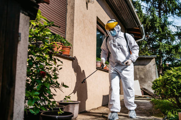 Best Wasp Removal Services  in Assumption, IL