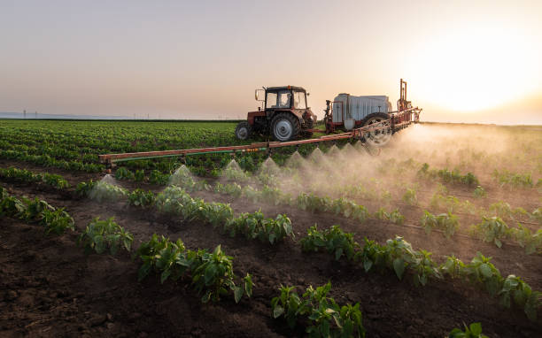 Best Insect Control  in Assumption, IL