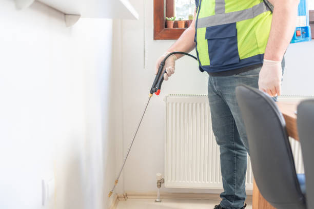 Best Emergency Pest Control  in Assumption, IL