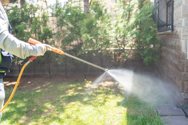 Pest Prevention Services in Assumption, IL