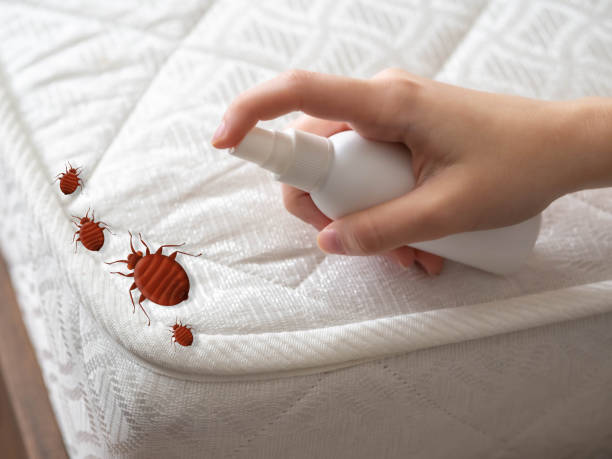 Best Pest Control for Businesses  in Assumption, IL