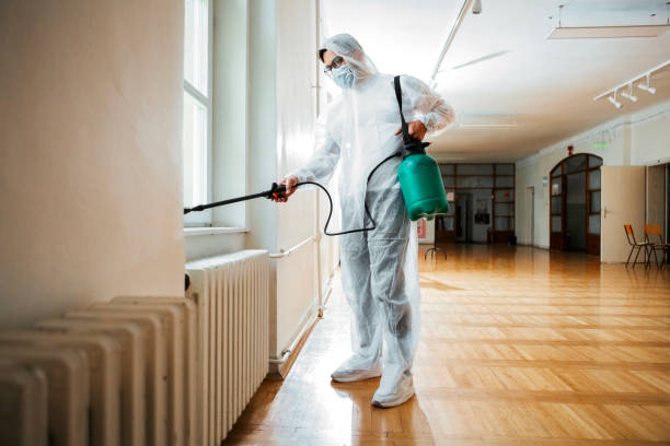 Best Cockroach Control Services  in Assumption, IL