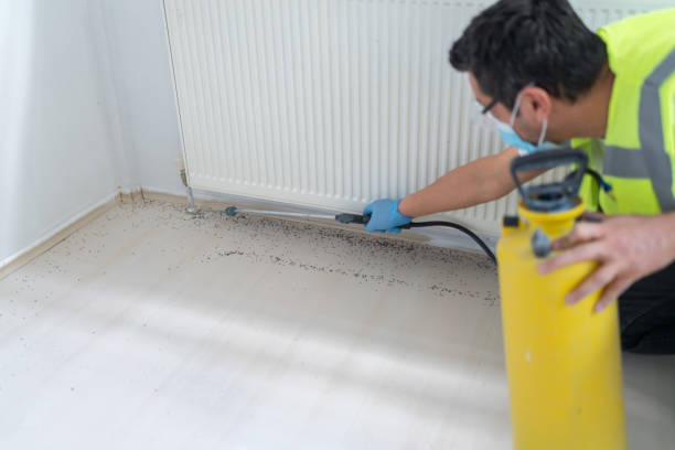 Best Pest Prevention Services  in Assumption, IL