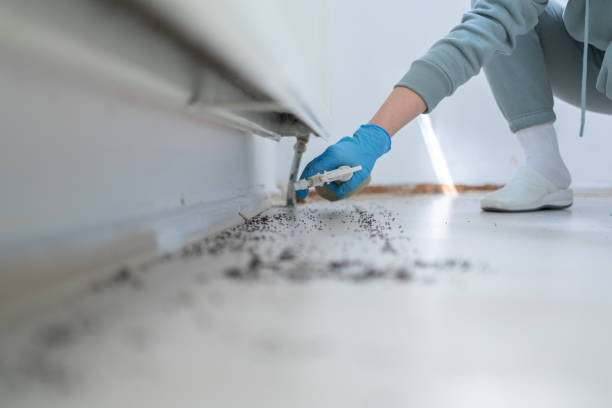 Best Best Pest Control Companies  in Assumption, IL